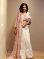 HandEmbroidery Saree