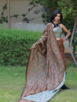 Bridal Organza saree - Image 2